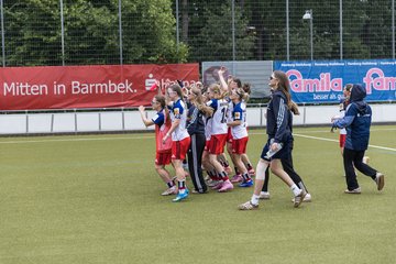 Bild 41 - wBJ Hamburger SV - FC Suederelbe : Ergebnis: 9:0